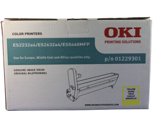 Oki Systems 01229301