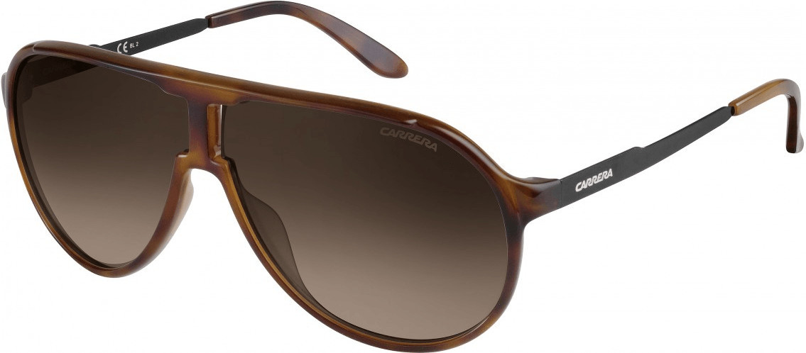 Carrera New Champion 8F8 HA (havana black/brown)