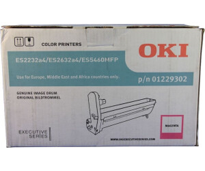 Oki Systems 01229302