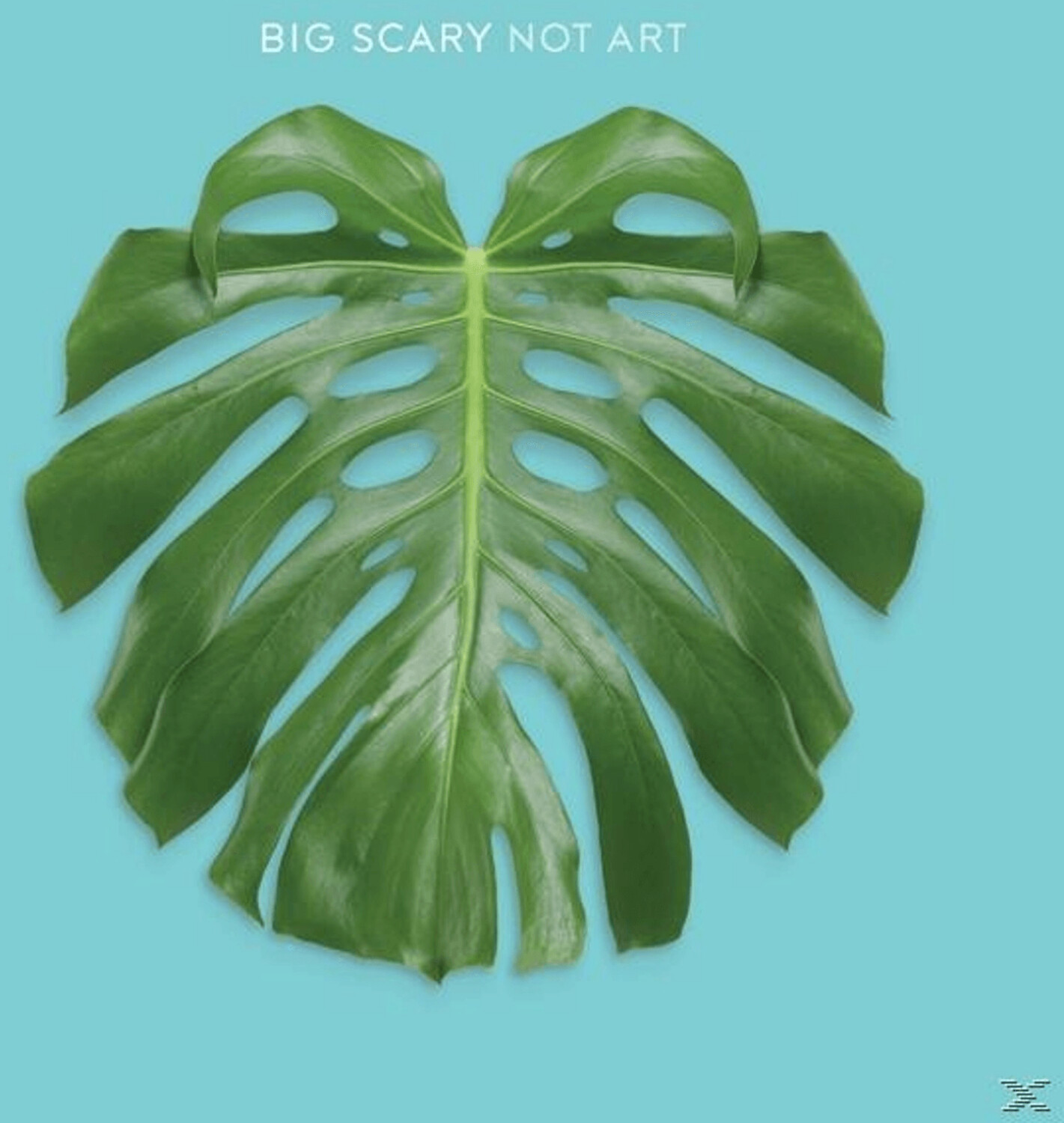 Big Scary - Not Art (Vinyl)
