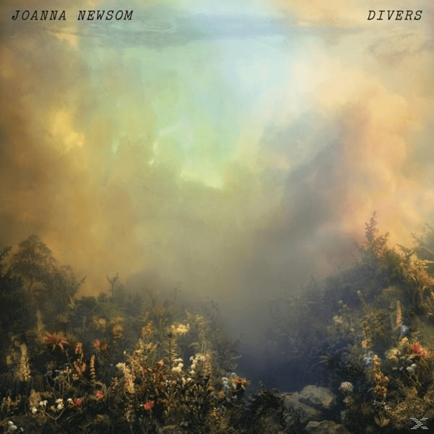 Joanna Newsom - Divers (2lp) (Vinyl)