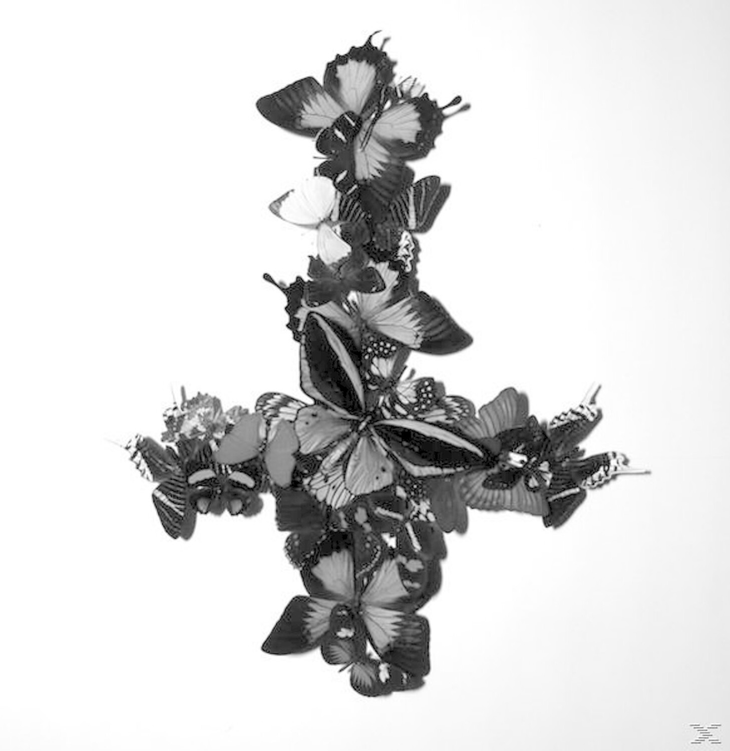 The Monarch - Never Forever (2LP) (Vinyl)