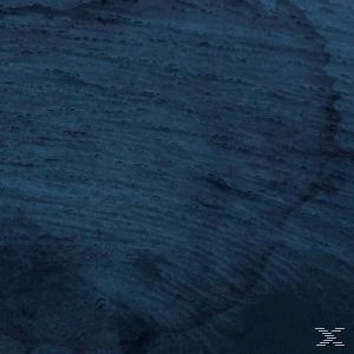 Multicast Dynamics - Aquatic System (Vinyl)