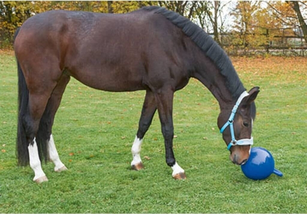 Kerbl Balle à jouer pour cheval 25 cm bleu (32399)