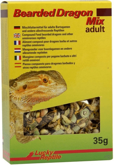 Lucky Reptile Bearded Dragon Mix Adult