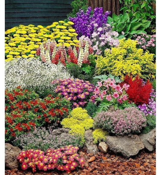BaldurGarten Großer Staudengartent (1(4 Pflanzen)) ab 19