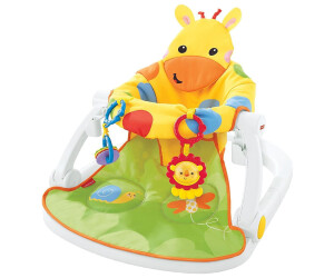 Fisher price outlet seat for baby