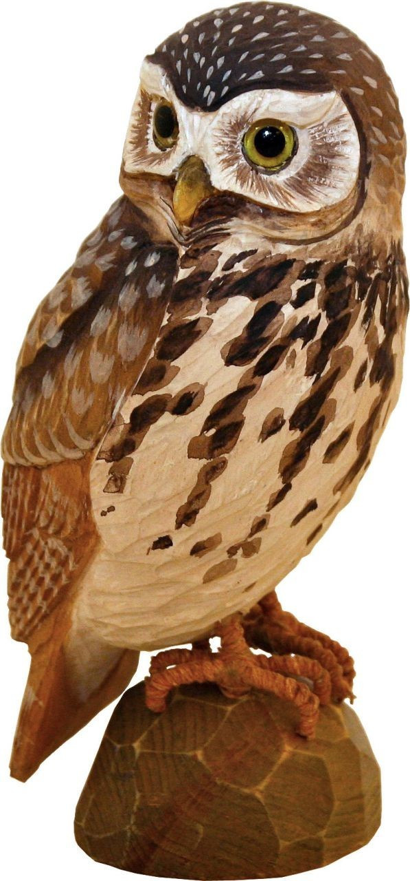 Wildlife Garden WG455
