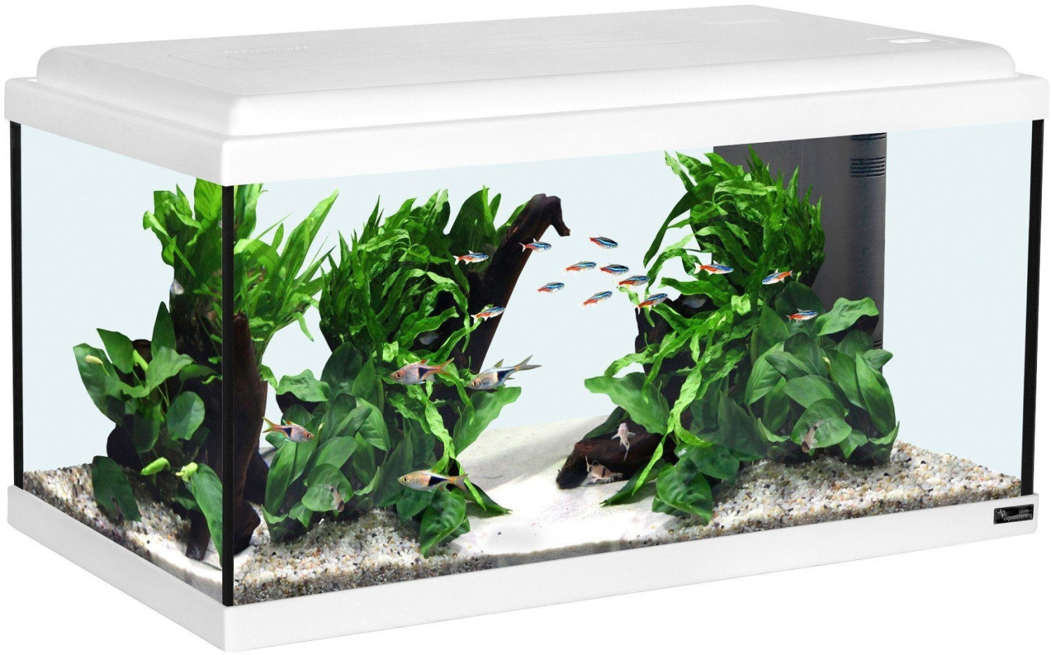 Aquatlantis Advance LED 60
