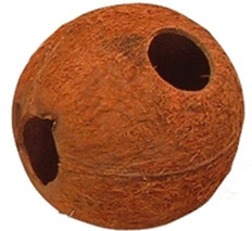 JBL Cocos Cava