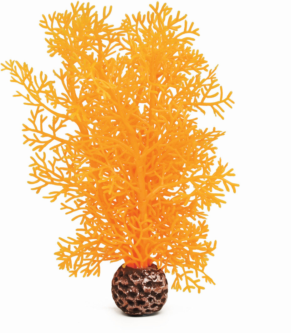 biOrb Éventail de mer