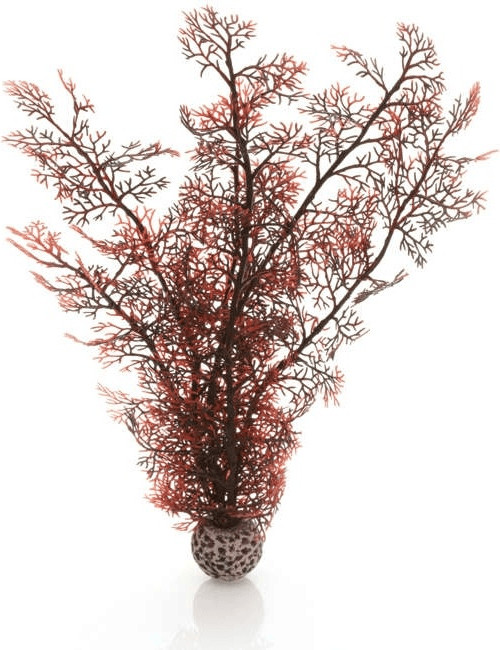biOrb Éventail de mer grand