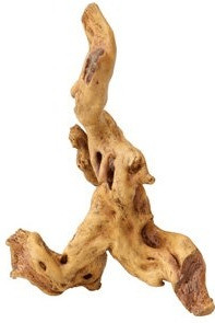 EBI Aqua Della Coffee Root