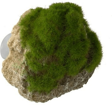 EBI Aqua Della Moss Stone with Suction Cup