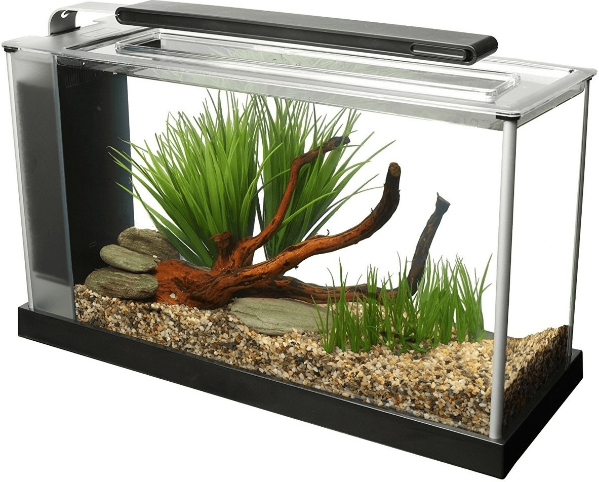 Fluval Spec V noir