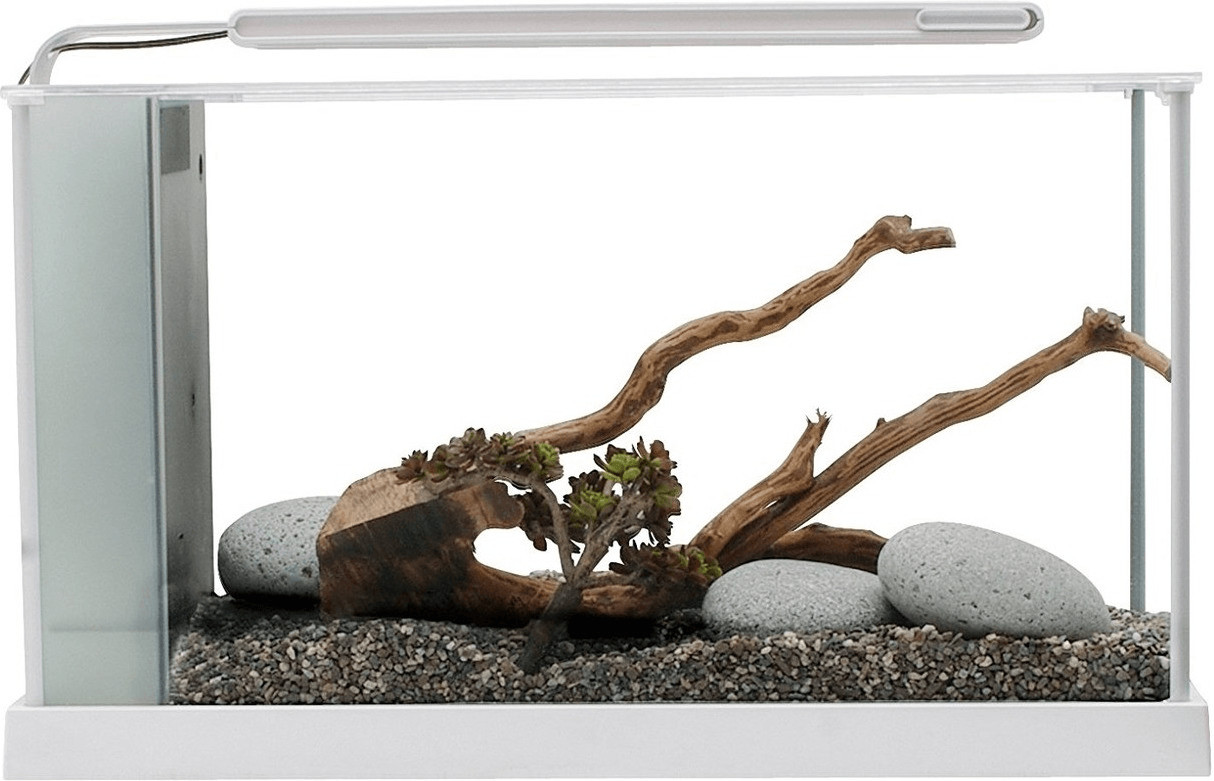 Fluval Spec V blanc