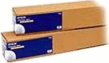 Epson C13S042006