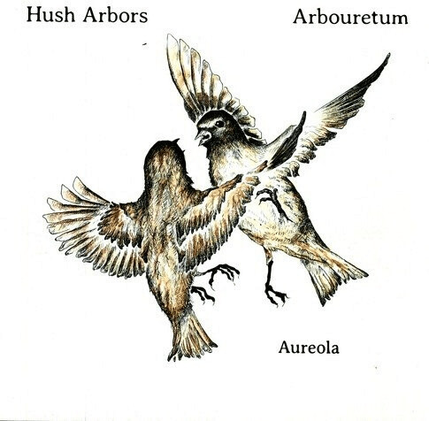 Hush Arbors / Arbouretum - Aureola [VINYL]
