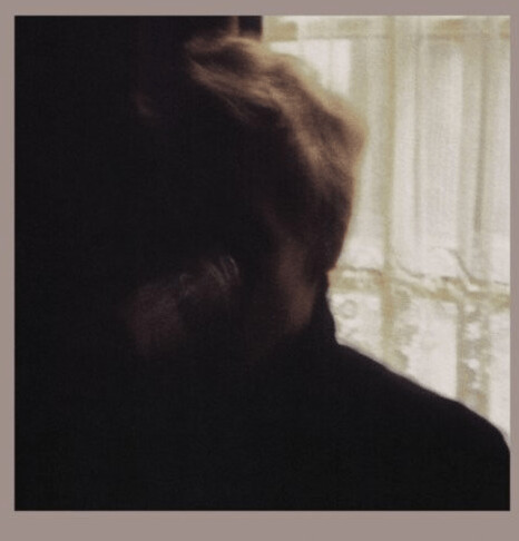Palace Brothers - Days In The Wake (Vinyl)