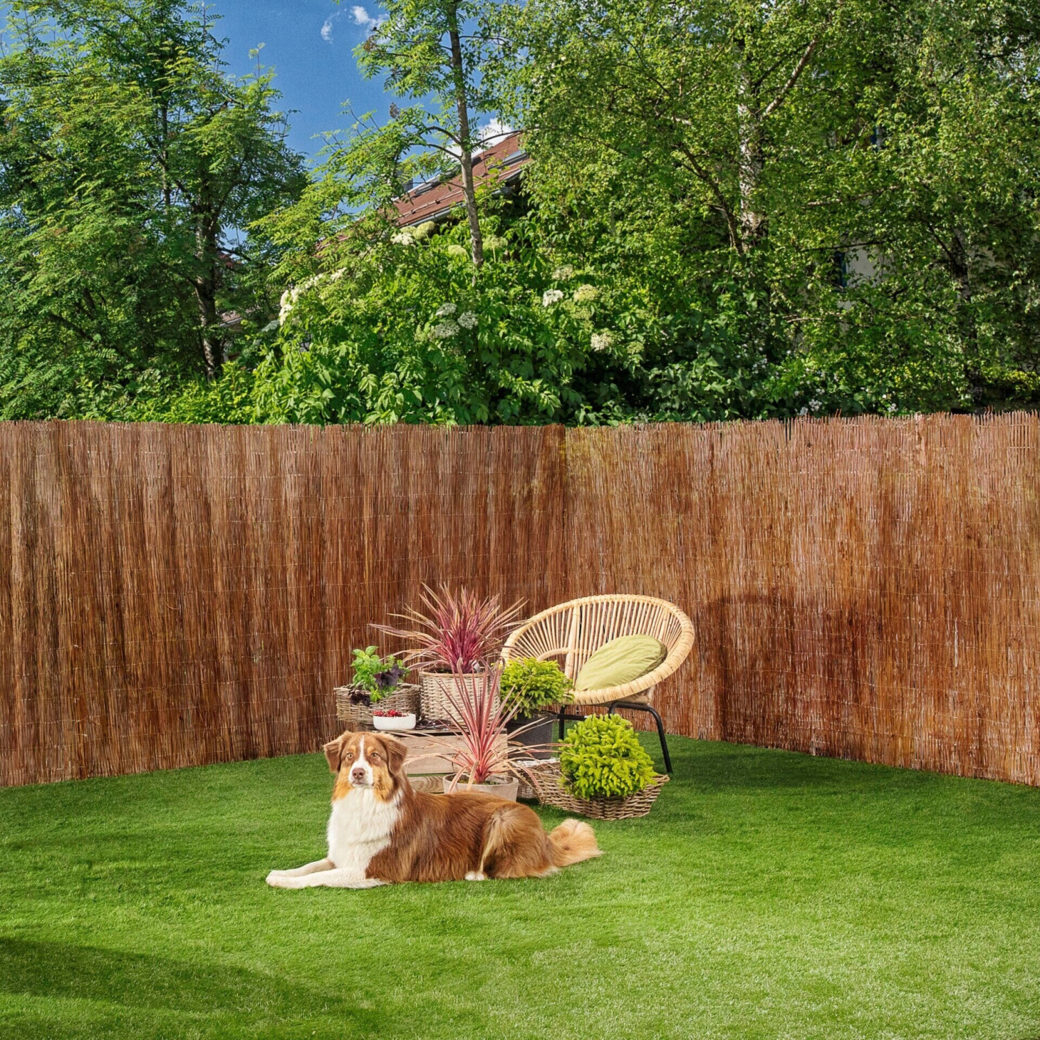 Windhager Country BxH: 300 x 90 cm natur