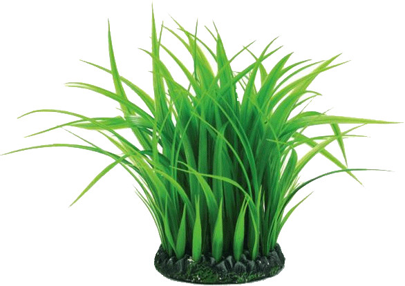 biOrb Grass Ring