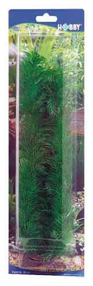 Hobby Egeria