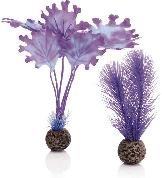 biOrb Plante colorée petite pour aquarium