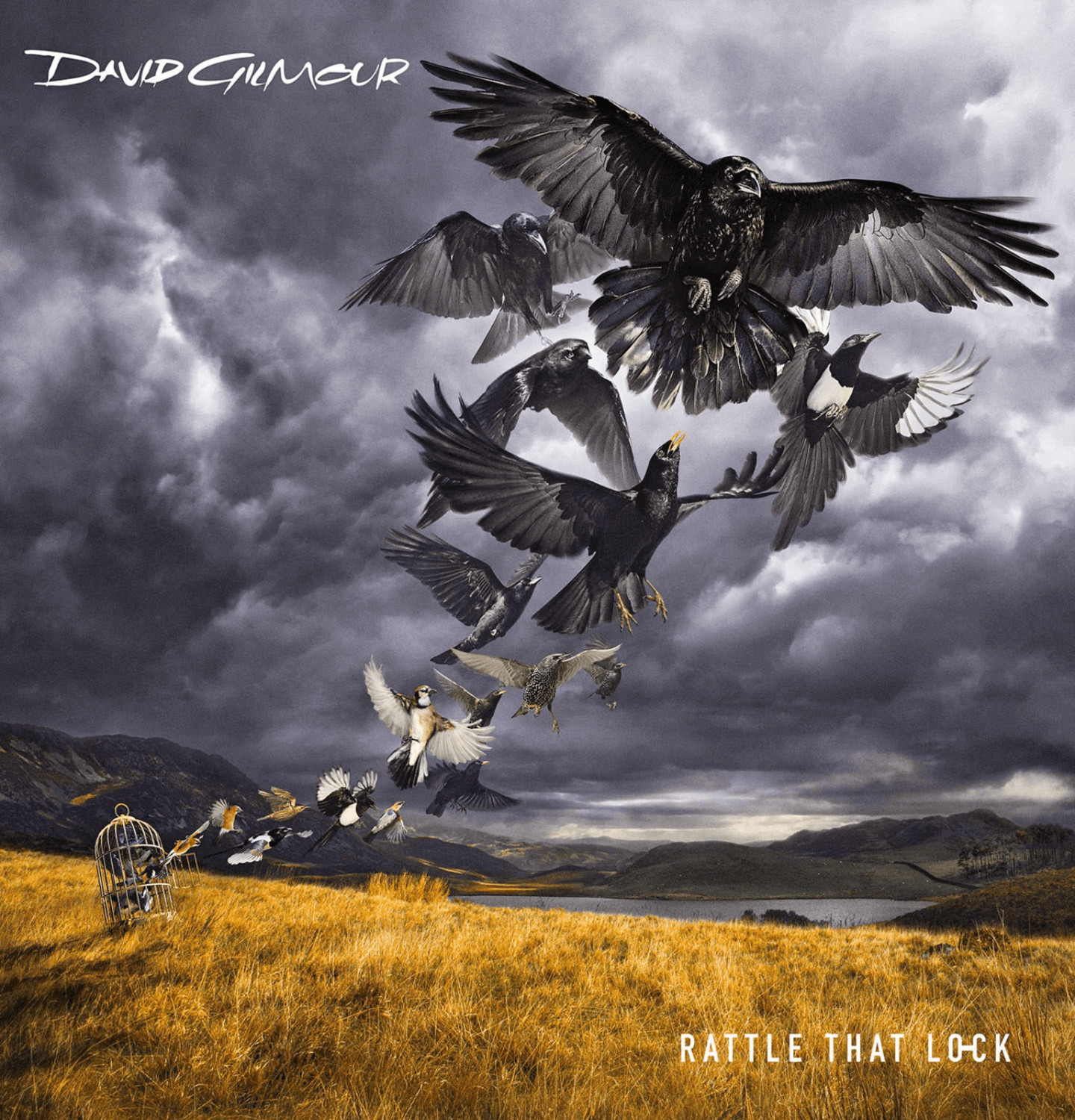 David Gilmour - Rattle that Lock (CD)