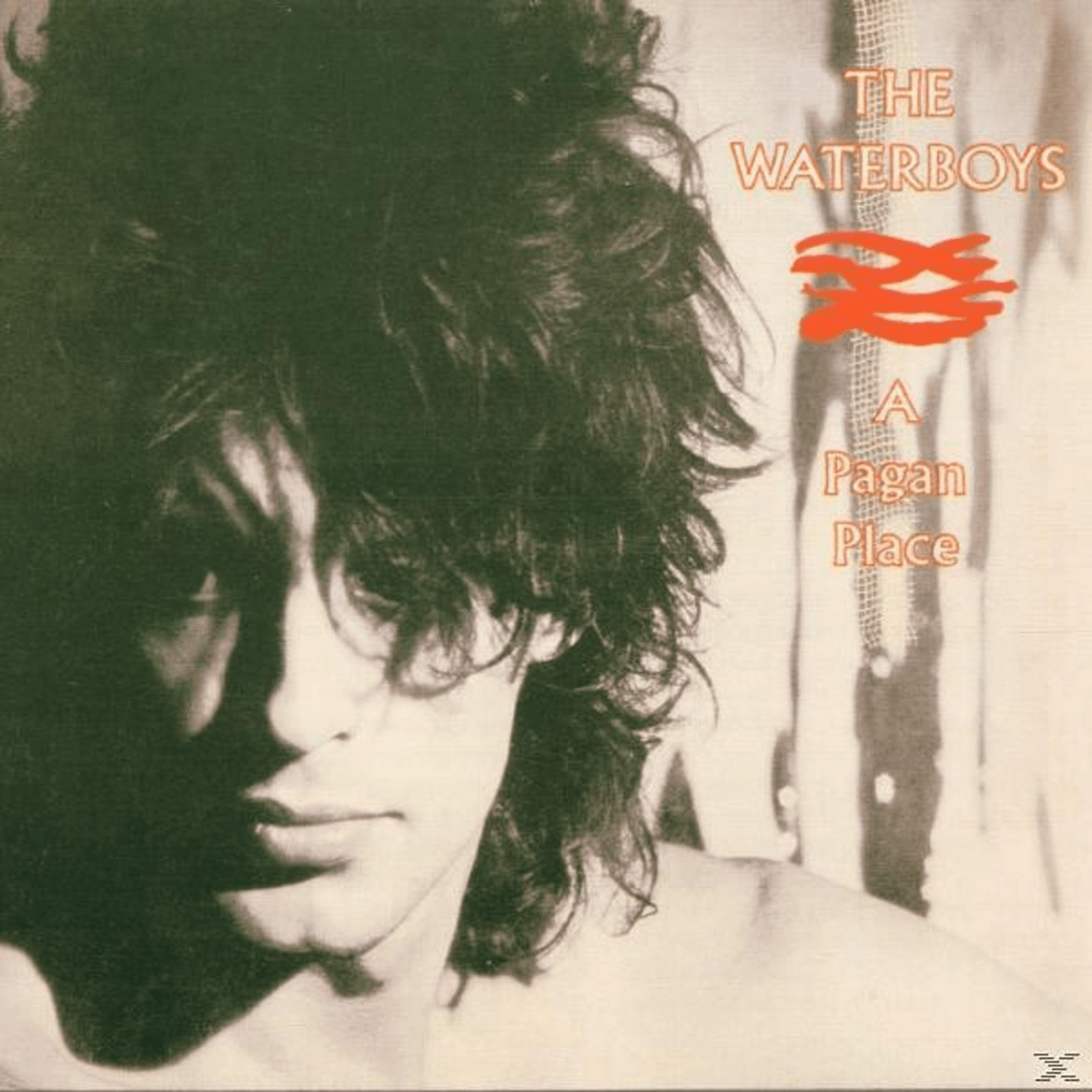 The Waterboys - A Pagan Place - (CD)