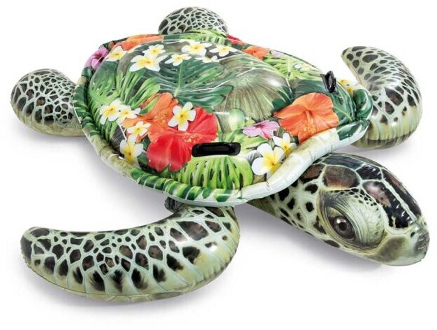 Intex Tortue gonflable (57555NP)