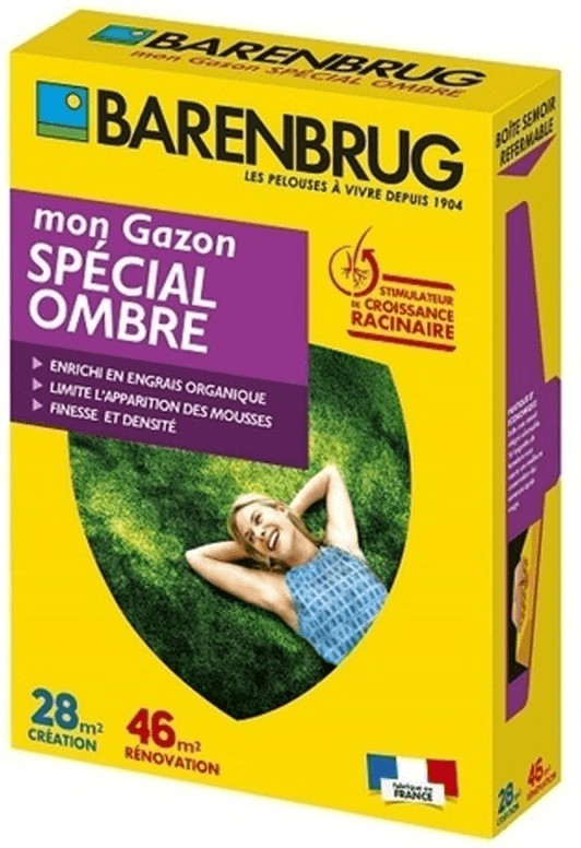 Barenbrug Gazon spécial ombre