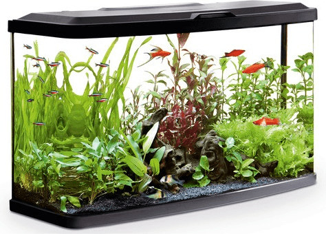Fluval Vue