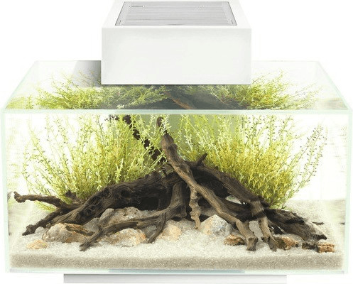 Fluval Edge 2.0 23L white
