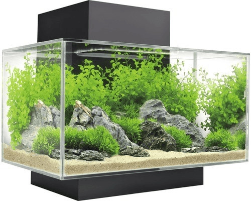 Fluval Edge 2.0 23L