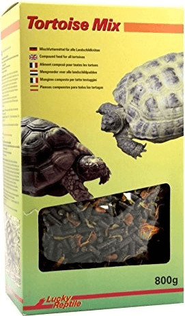 Lucky Reptile Tortoise Mix