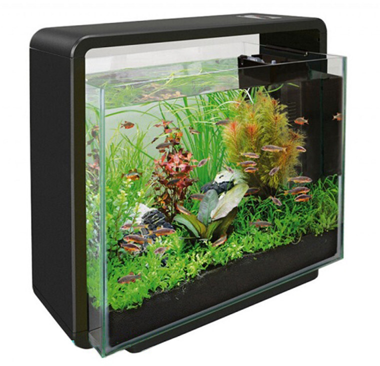 Superfish Home 40