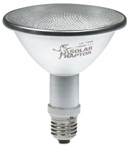 Econlux SolarRaptor HID-Lamp Spot