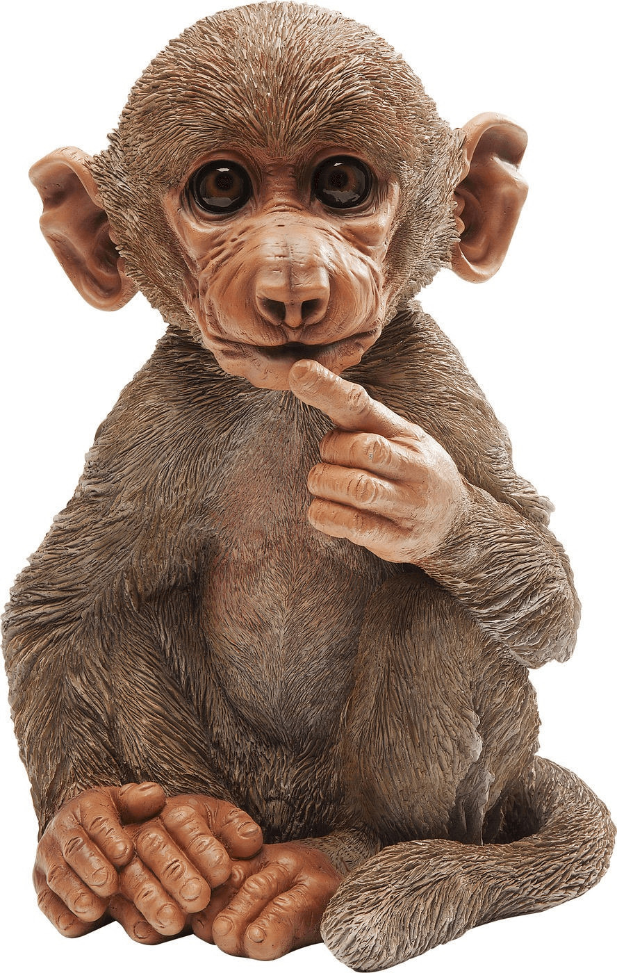 KARE Monkey Baby Baboon