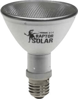 Econlux SolarRaptor HID-Lamp Flood