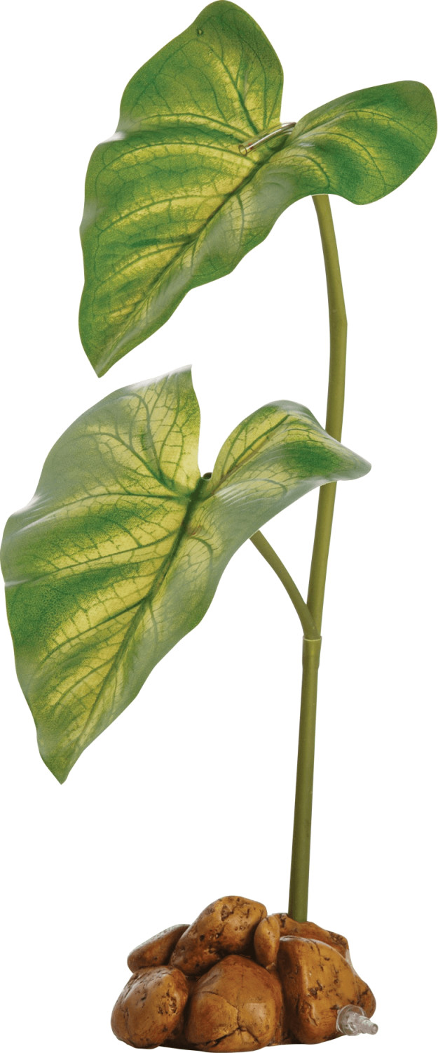 Exo Terra Dripper Plant