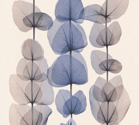 A.S. Creation 34245-5
