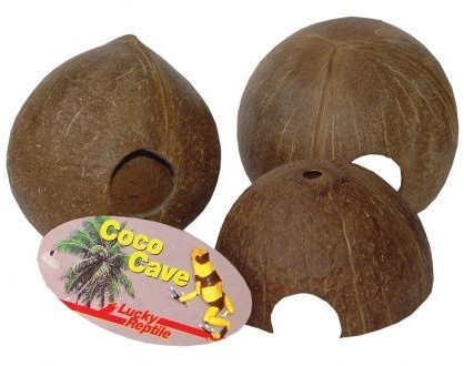 Lucky Reptile Coco Cave