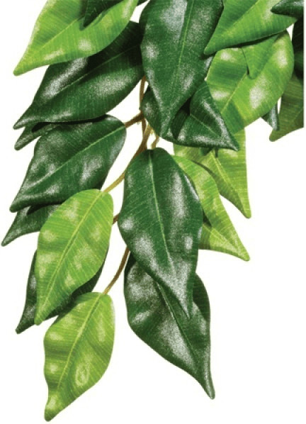 Exo Terra Ficus Soie petit (PT3030)
