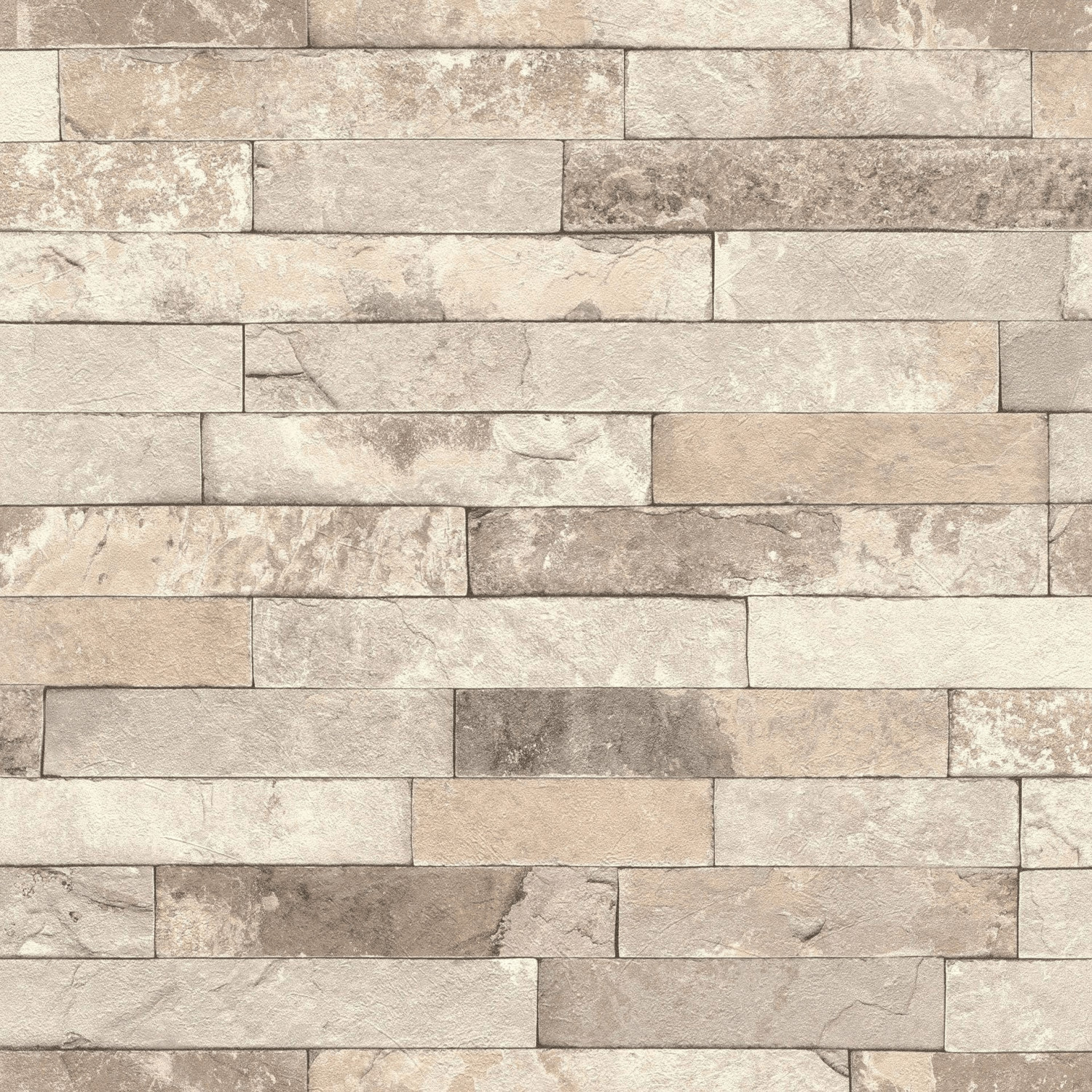 Rasch 475159