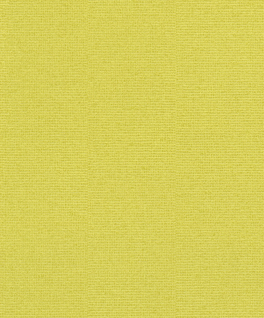 Rasch 800647