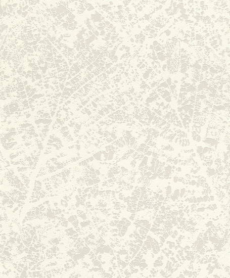 Rasch 801248