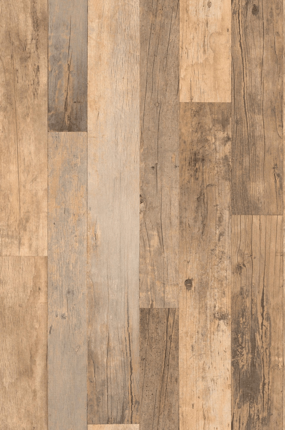 Rasch 941616