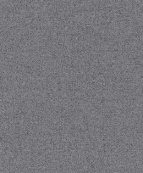Rasch 800401
