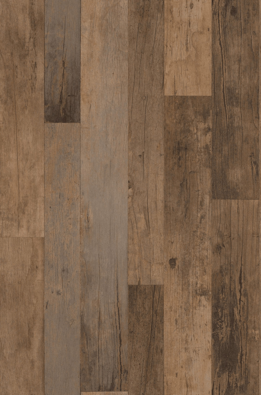 Rasch 941609