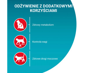 Purina ONE BIFENSIS Sterilcat Trockenfutter Für Kastrierte Katzen – Mit Milchsäurebakterien Für Starke Abwehr